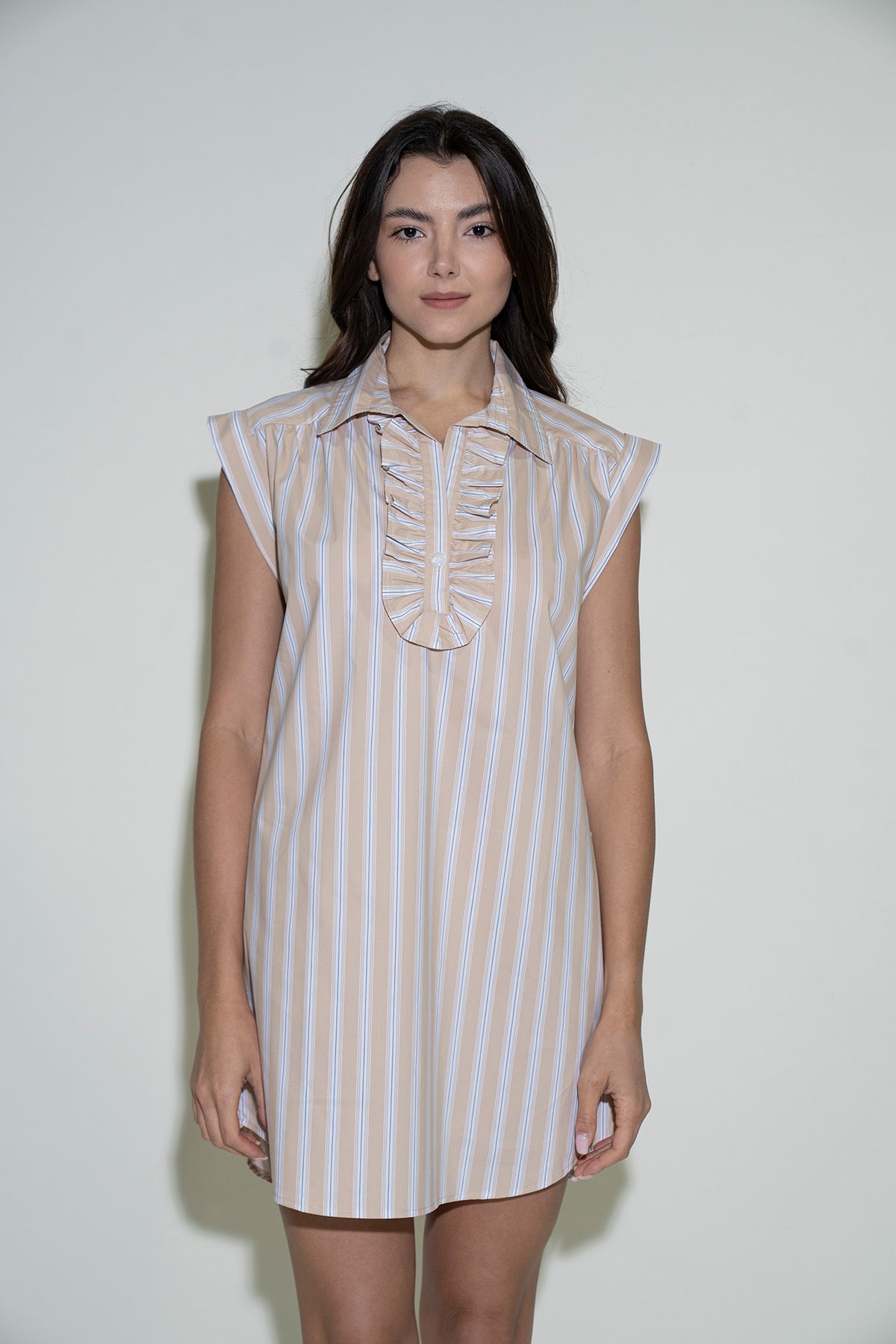 Roxy Dress - Taupe Stripe